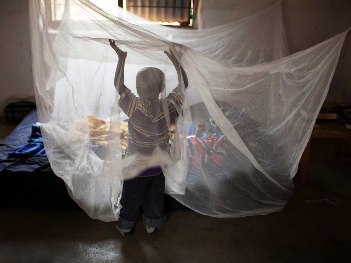 A pack of five mosquito nets